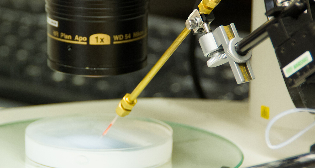BioReperia får miljonstöd i utlysning från Swelife och Medtech4Health