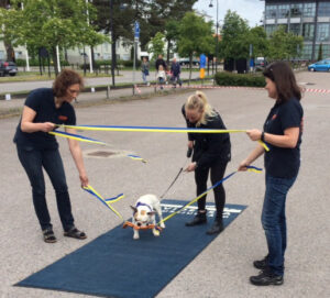 invigning valla djur