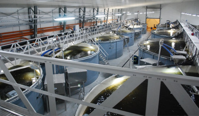 baltic aquaculture innovation center (bic)