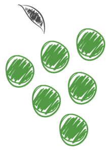 47 miljoner investerat i 14 bolag i Östergötland på 2,5 år logo est grapes 05 739x1024