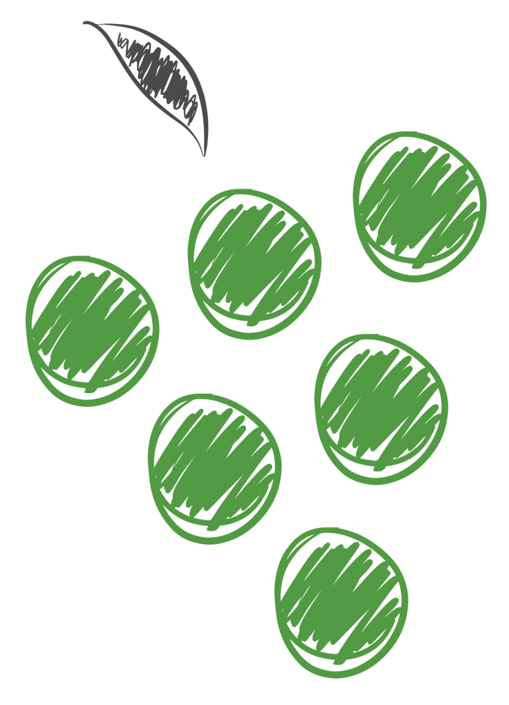 47 miljoner investerat i 14 bolag i Östergötland på 2,5 år logo est grapes 05 739x1024