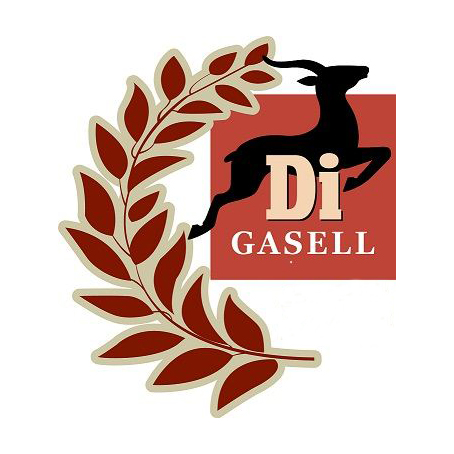 Gasellfest i Linköping di gasell 2