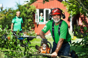 fp3uwq7hk622lnz2eepj