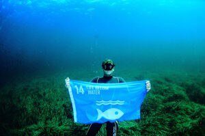 Vad är Agenda 2030? global goals free diving world champion umberto pelizzari raised a flag below water