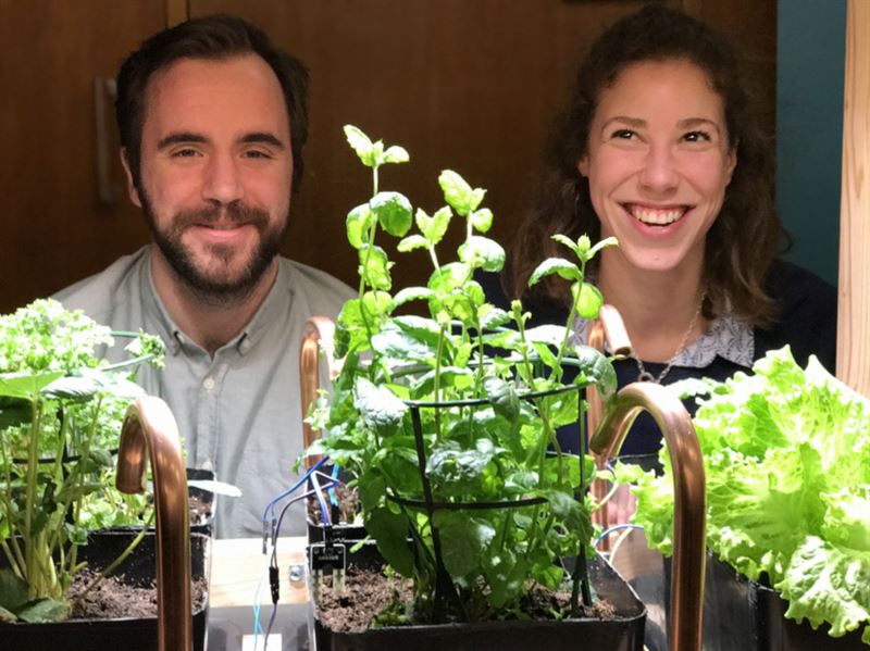 a4f6bc0a4472a70b 800x800ar