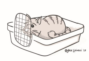 Hinder katt utan bur