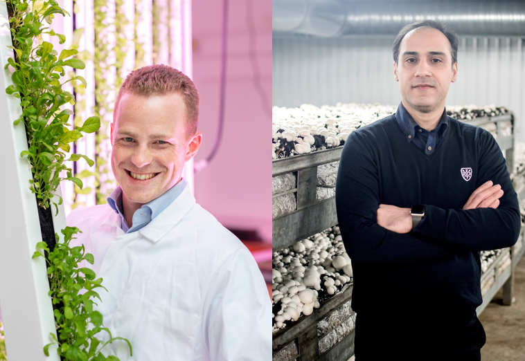 Innovativa odlare vinner ICAs Entreprenörspris 881c25dfa2275d41 org