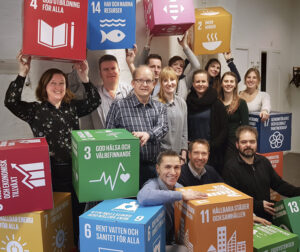 Hållbara affärer envima team