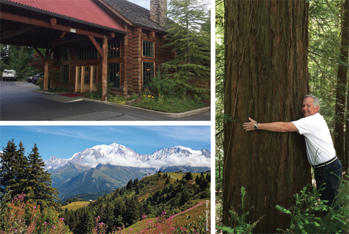 Från vulkaner till skogens giganter resekronika4 camilla lejon