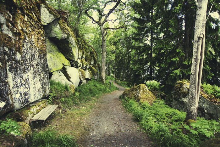 Naturligt att arbeta med fokus på naturen img 8404