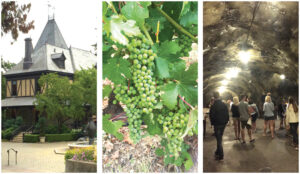 En smakfull rundresa foto camilla lejon