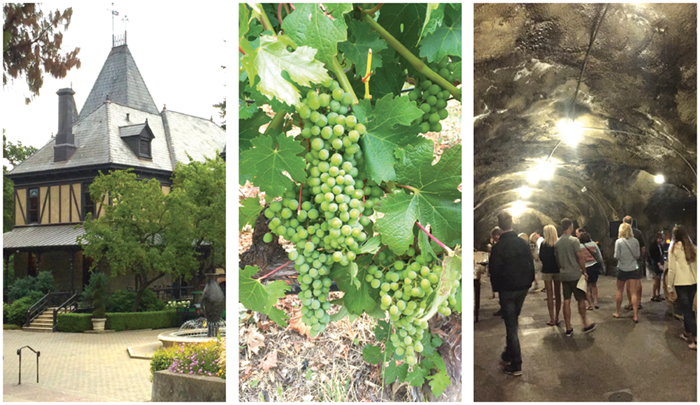 En smakfull rundresa foto camilla lejon