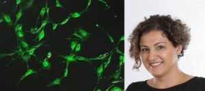 acbdda3a4918af41 800x800ar