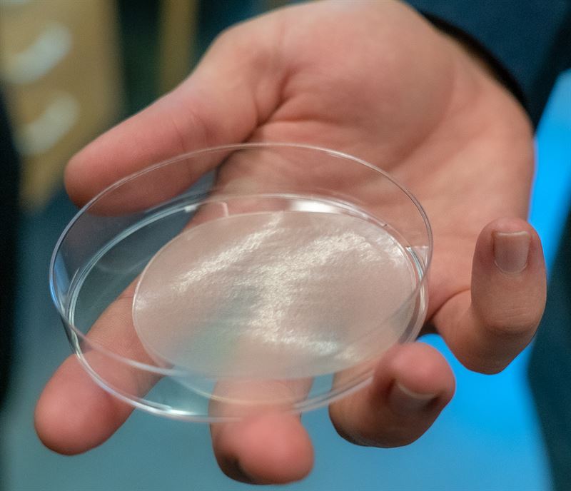 Almi Invest GreenTech investerar i Cellfion som gör det miljövänligt att lagra energi aeb5d990c41cc7e8 800x800ar