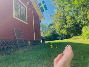 Den svenska grillmannen och hälsoshots med klorofyll!!! sommarkaseri1200