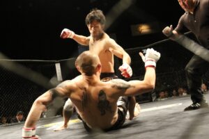 De bästa UFC-fightersna och funktionerna i deras stil Japan Muscle Cage Performance Art Fist Boxing 604924 Pxhere.com 1 300x200