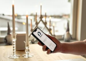 foto julbedrägerier web