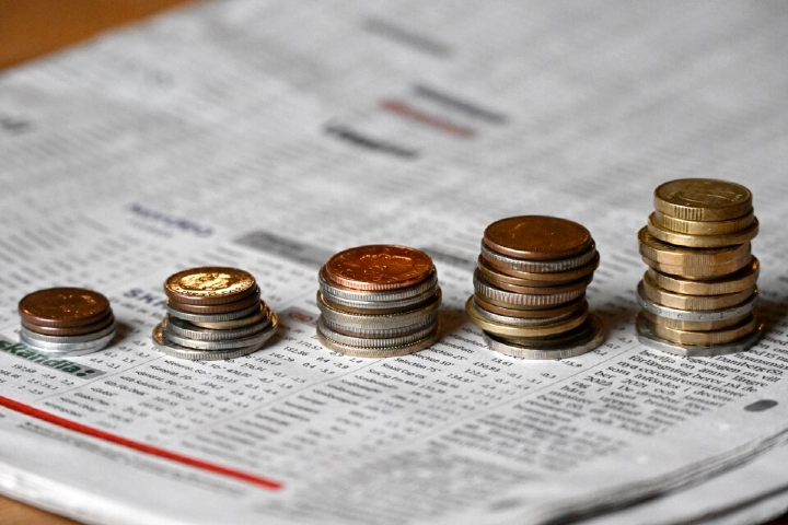 Sveriges hushållsekonomi inför 2025:"Optimism" nedladdning (1)