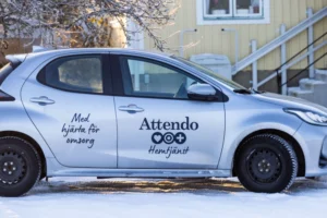 shutterstock 2466787309