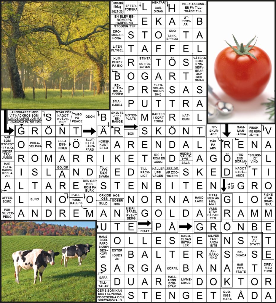 2022 20 grönt är skönt lösning 1i6d3a 931x1024 2022 20 grönt är skönt lösning 1i6d3a 931x1024